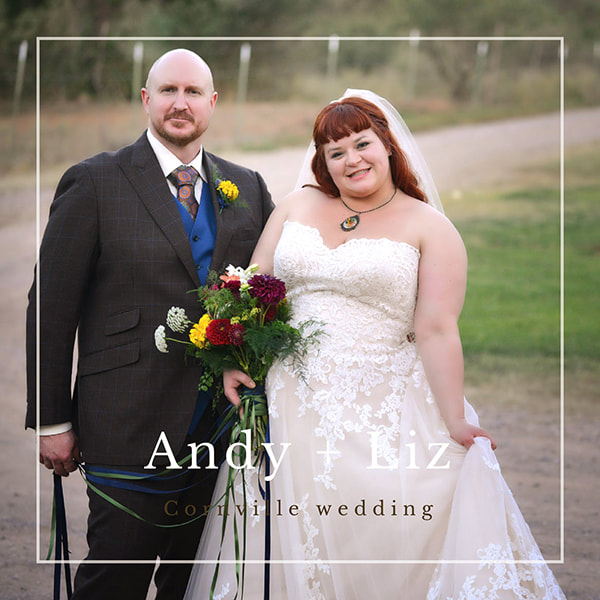 review for cornville arizona wedding photographer